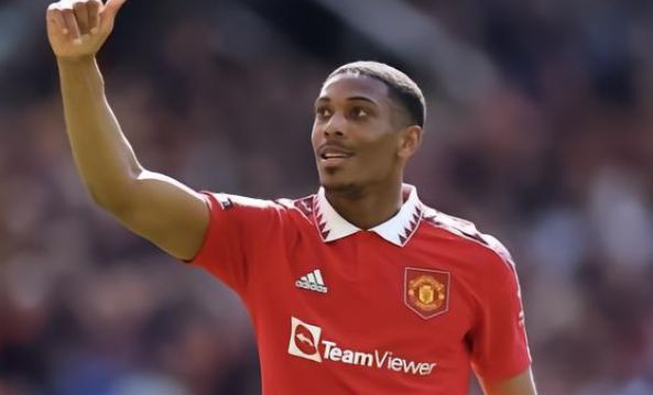 身体素质的 身体素质的