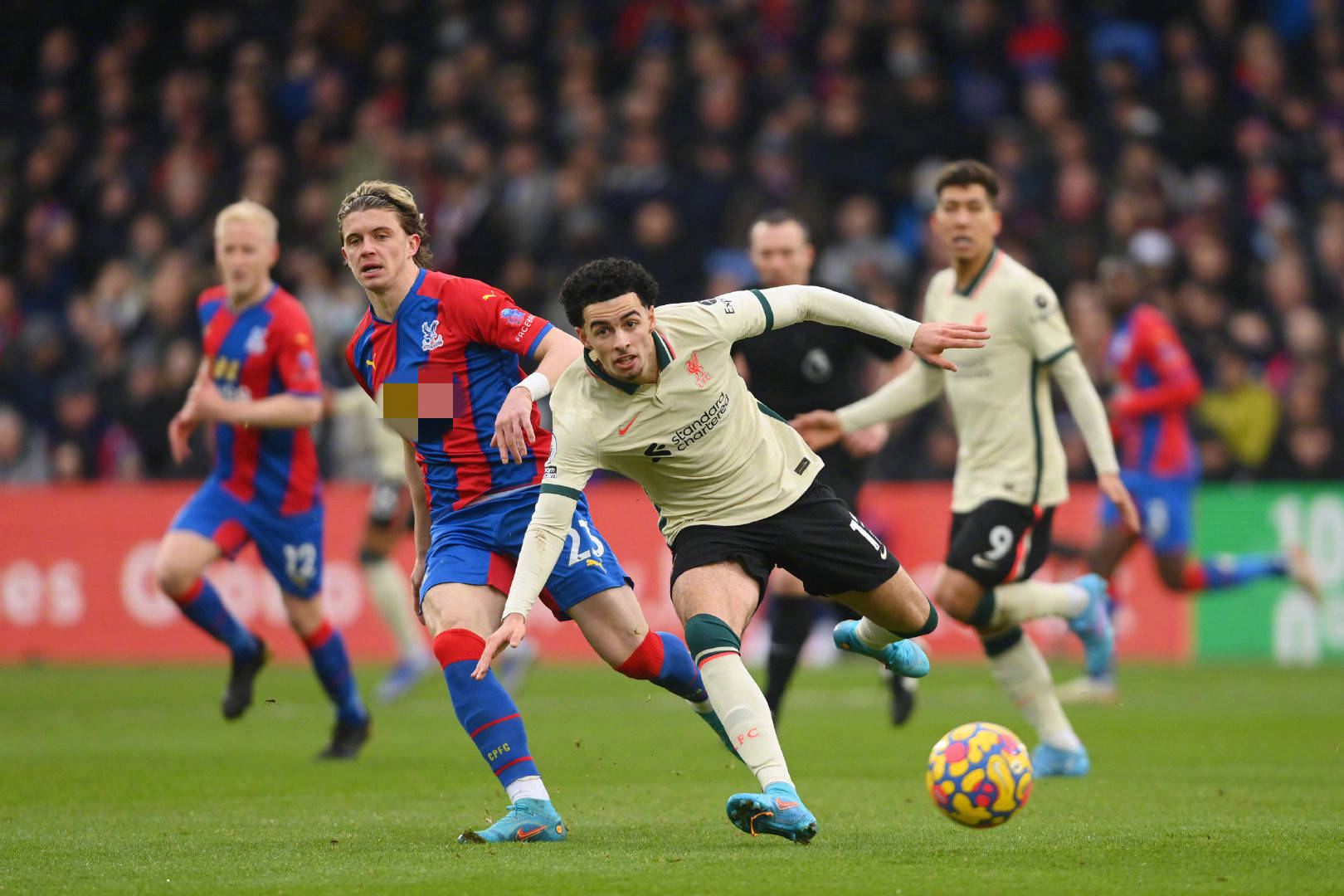 整体视角来 整体视角来